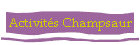 Activits Champsaur